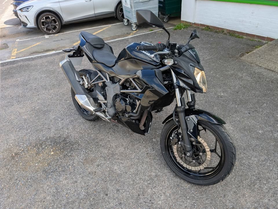 2016 Kawasaki Z250 — photo 1
